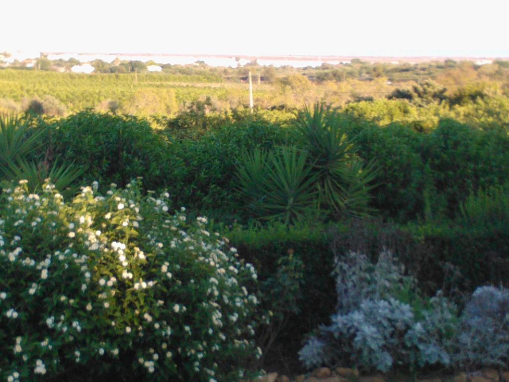 Quinta da Moura Casa-de-Campo Tavira Exterior foto