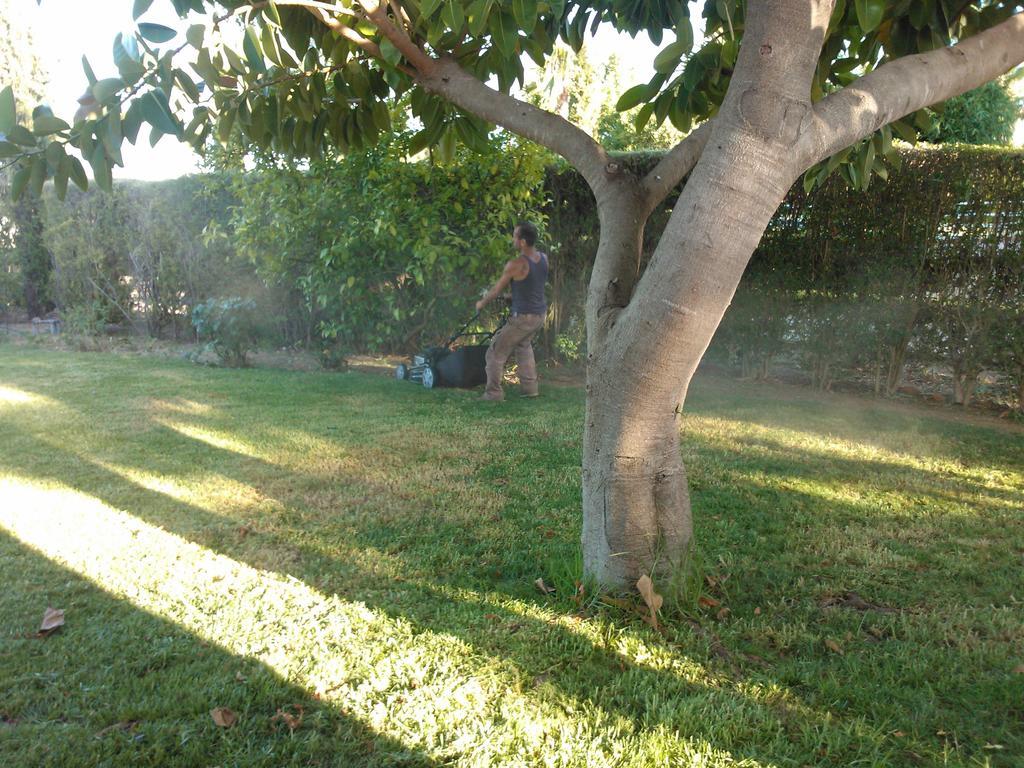 Quinta da Moura Casa-de-Campo Tavira Exterior foto