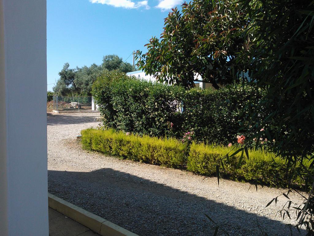 Quinta da Moura Casa-de-Campo Tavira Exterior foto