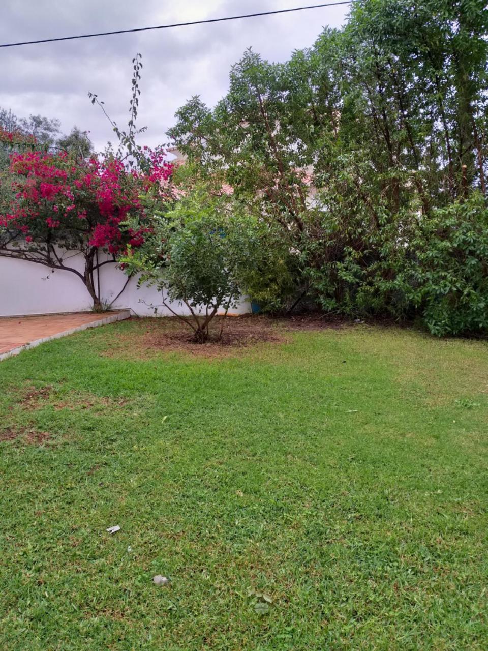 Quinta da Moura Casa-de-Campo Tavira Exterior foto