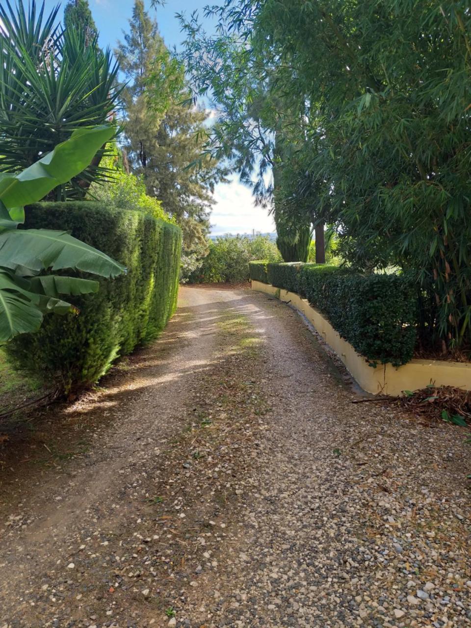 Quinta da Moura Casa-de-Campo Tavira Exterior foto