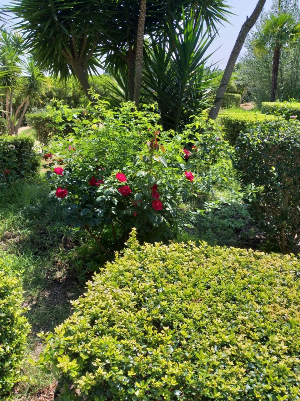 Quinta da Moura Casa-de-Campo Tavira Exterior foto